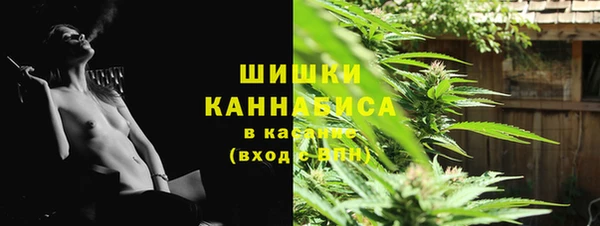 винт Бородино