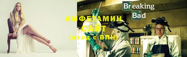 прущие грибы Бугульма