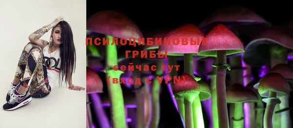 прущие грибы Бугульма