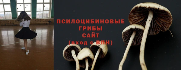 прущие грибы Бугульма