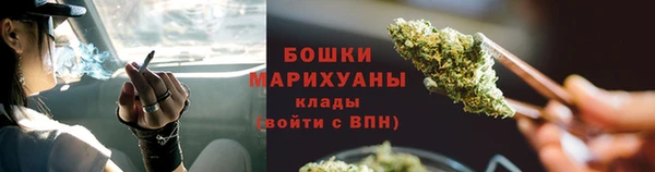 прущие грибы Бугульма