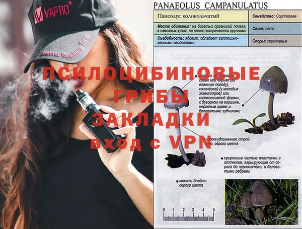 эйфоретик Бронницы