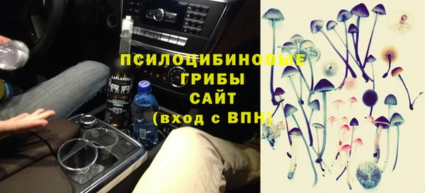 винт Бородино