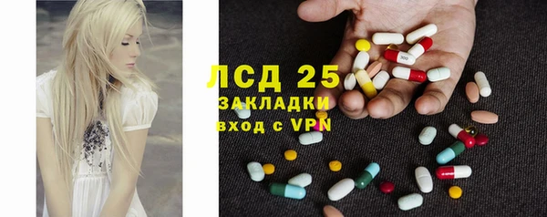 винт Бородино