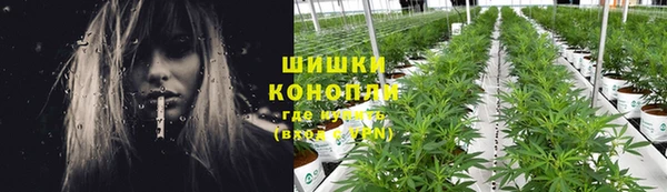 прущие грибы Бугульма