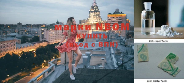 прущие грибы Бугульма
