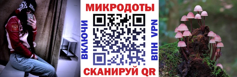Псилоцибиновые грибы Cubensis  Купить закладки  Печоры 